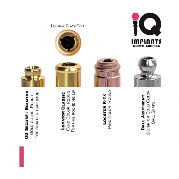 IQ-Rhein Equator Initial Processing Package, Complete (1-Pack)-4